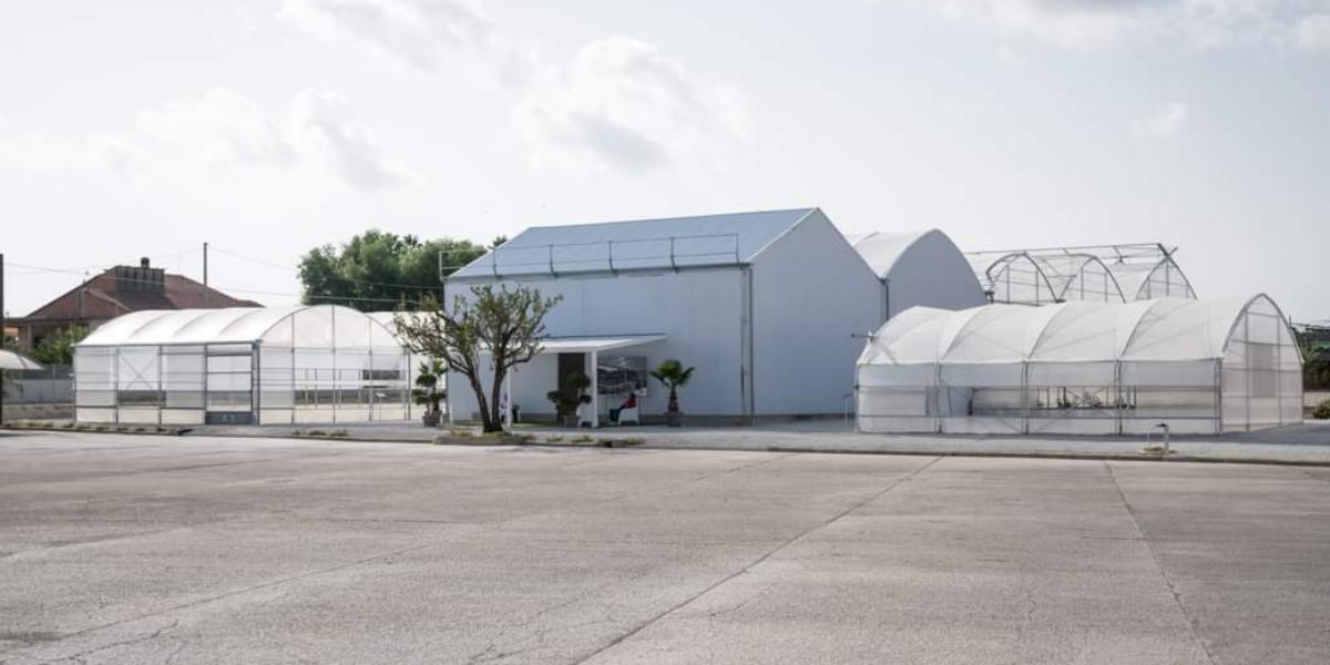 Scoprire le ultime innovazioni in campo serricolo